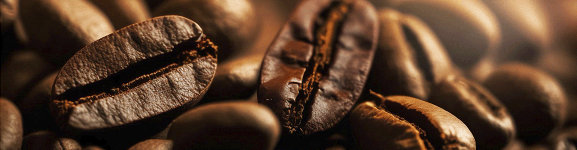 Como harmonizar café com sequilhos